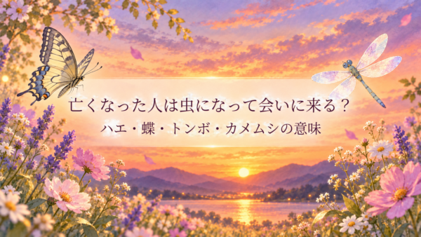 亡くなった人　虫になって会いに来る